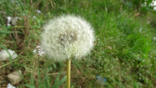 Imagem 108