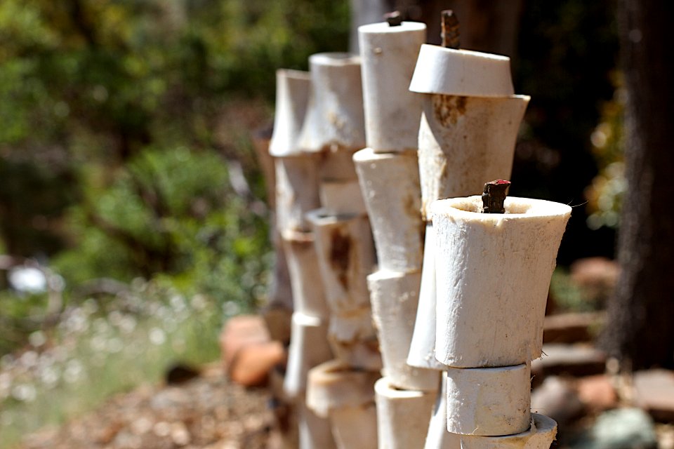 The Bone Towers Are Expanding