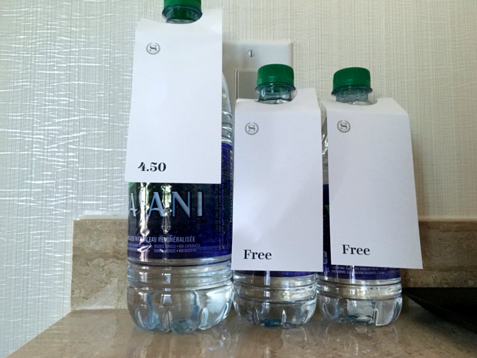 Two Little Free Bottles or One Big One for $4.50?