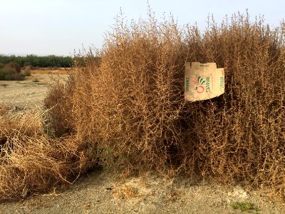 Enjoying the Natural California Central Valley Nature Scenery