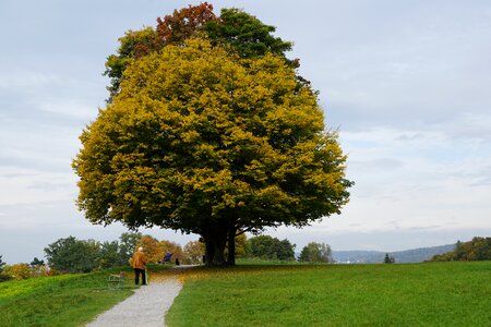 Landscape nature park