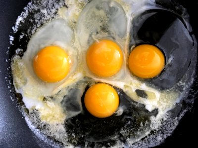 Four As in Eggs photo