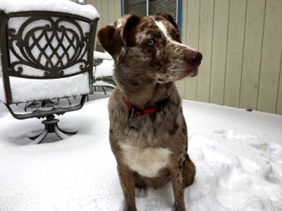 Snow? Fascinating