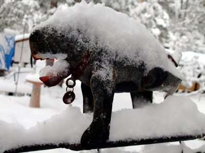 Spike Under Snowq