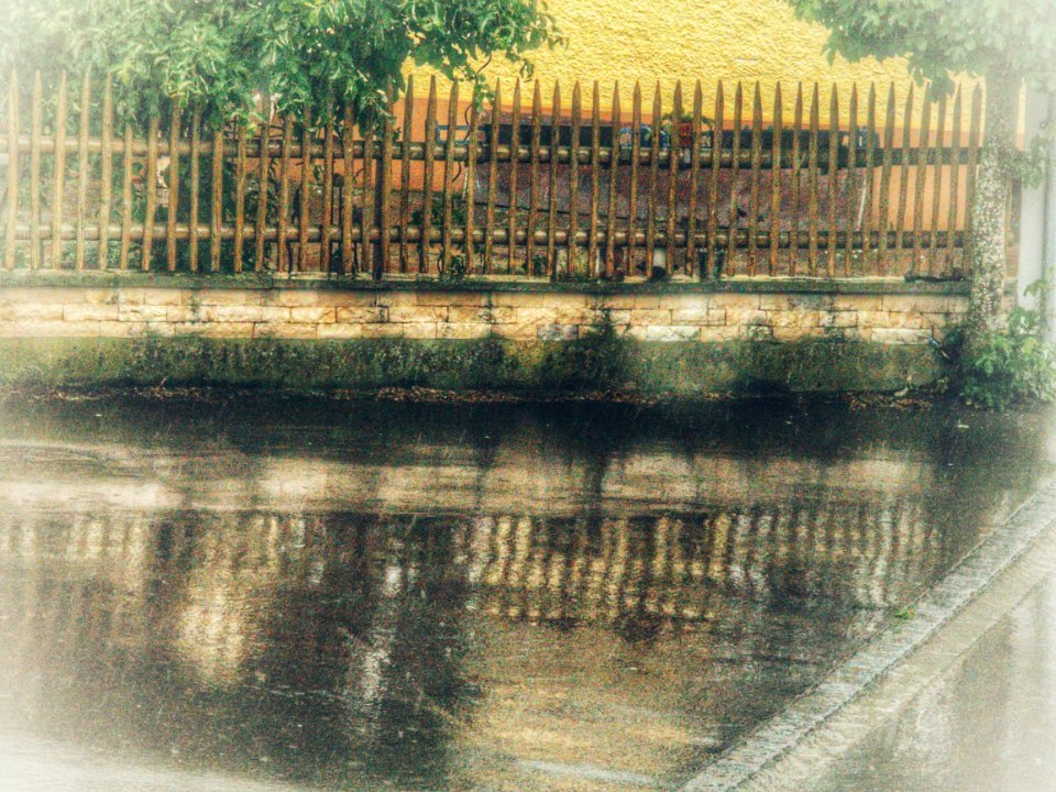 Rain