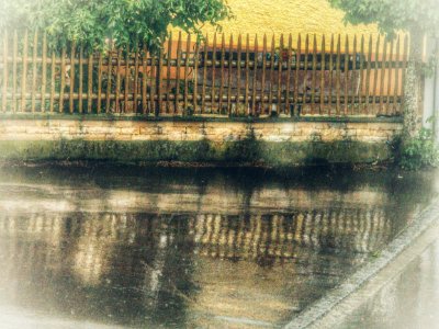 Rain