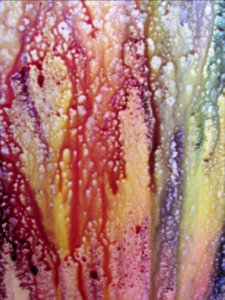 Imagem 033