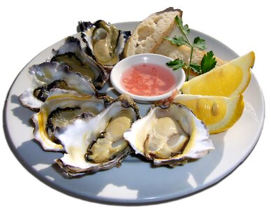 Eat gourmet seafood