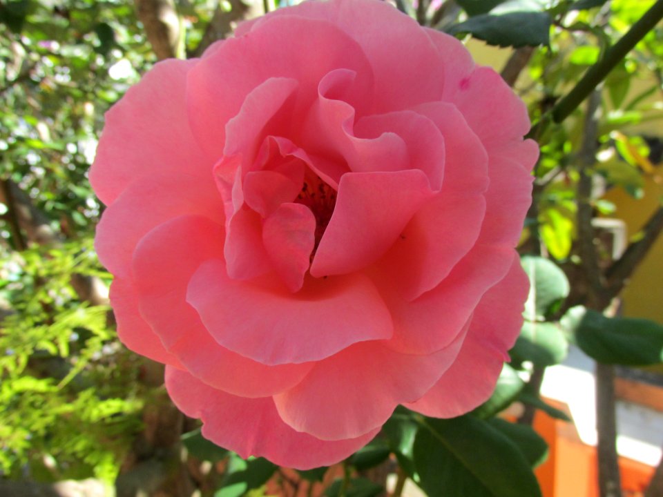 Imagem 015