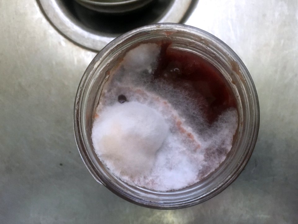 When Canning Goes Bad