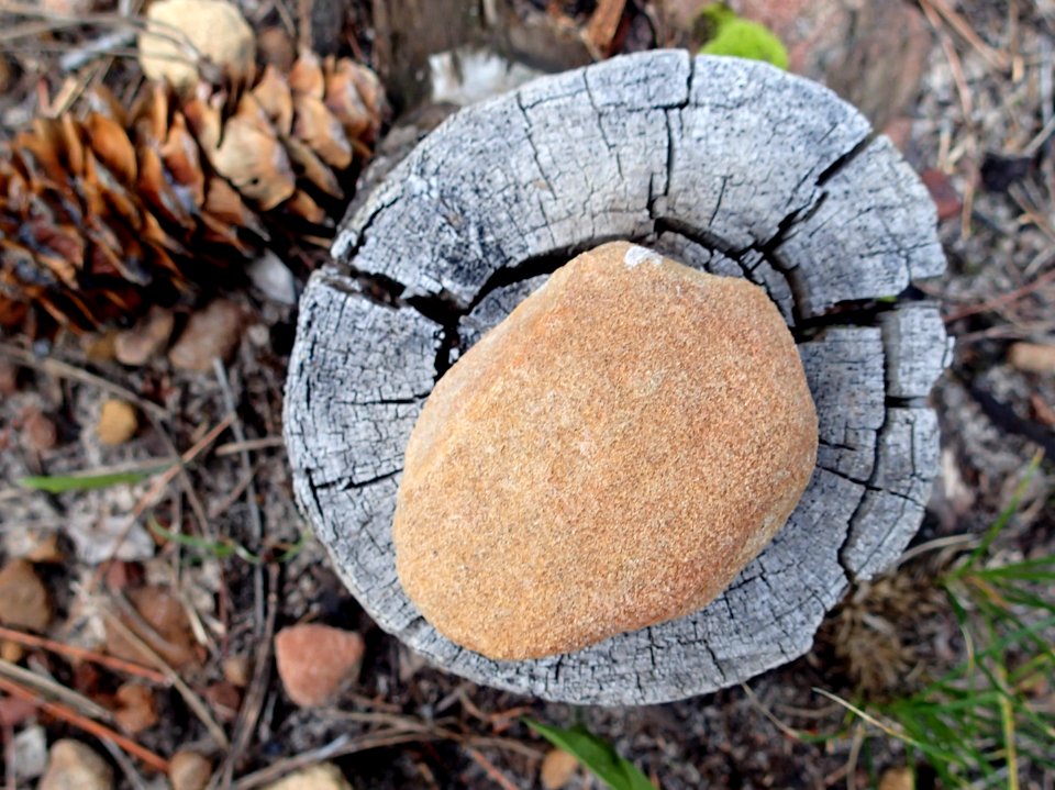 Trail Marker