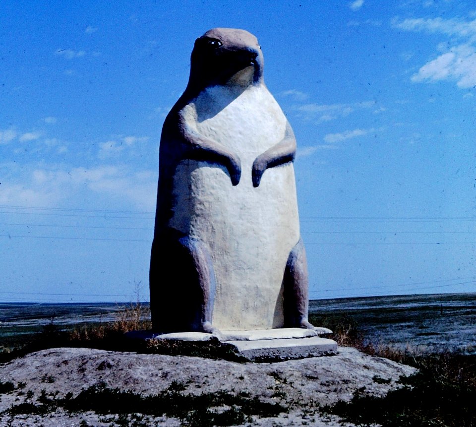 Giant Prairie Dog Cactus Flats, SD