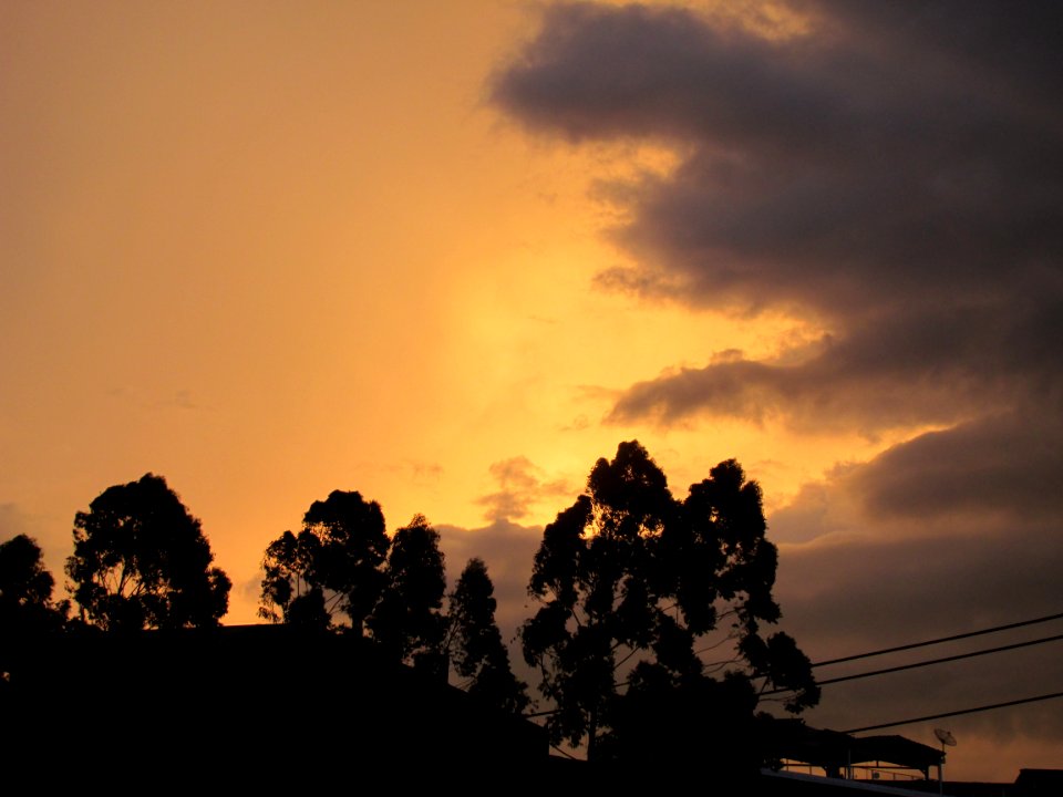 Imagem 016