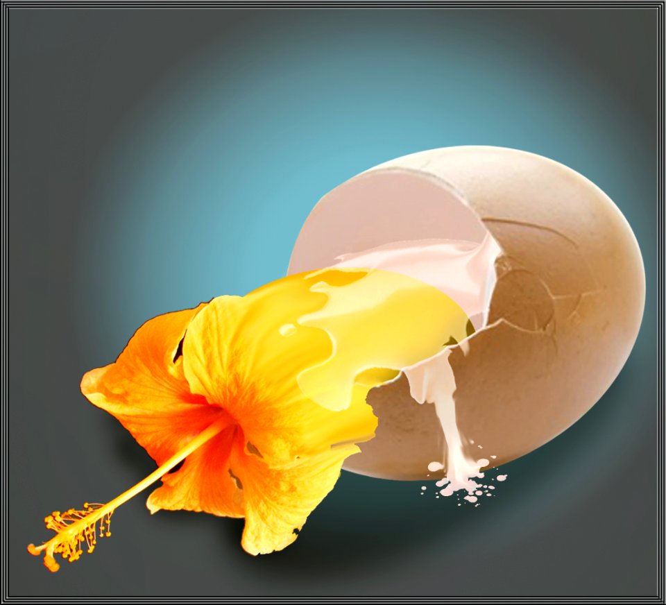 Hibisegg