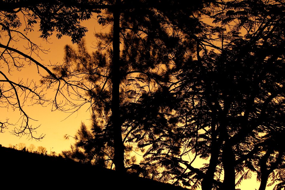Dusk landscape twilight