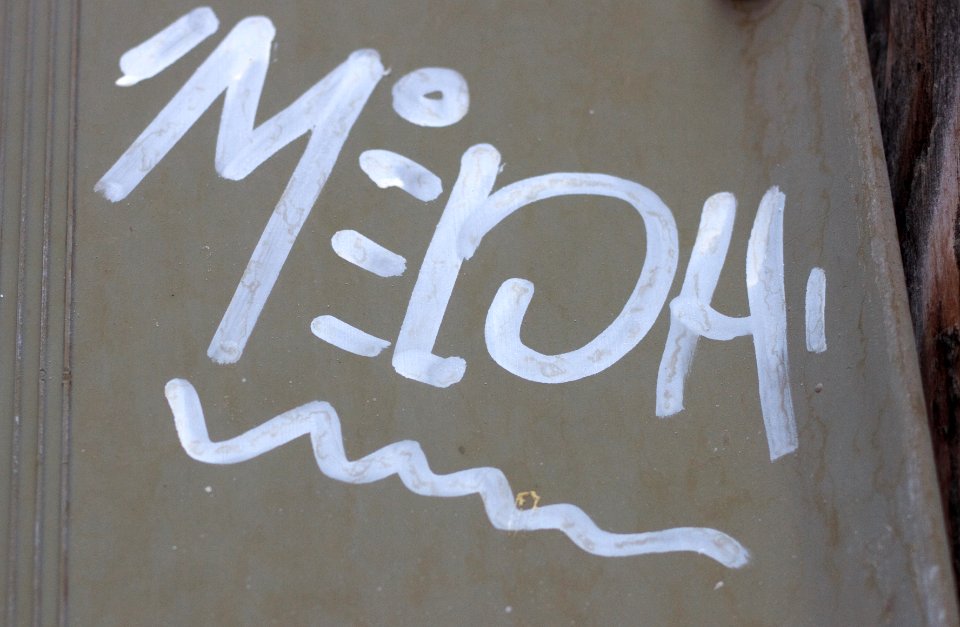 Misspelled Media?