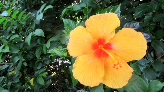 Imagem 022