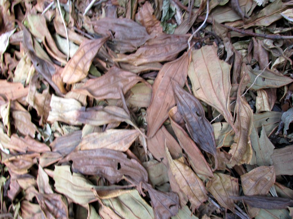 Imagem 047