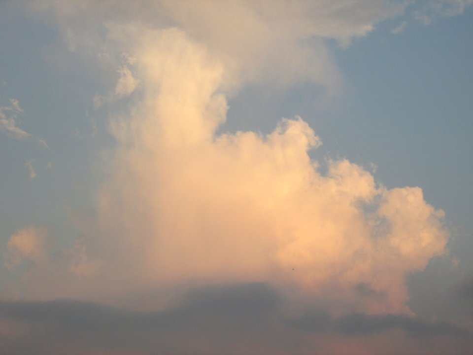 Imagem 010