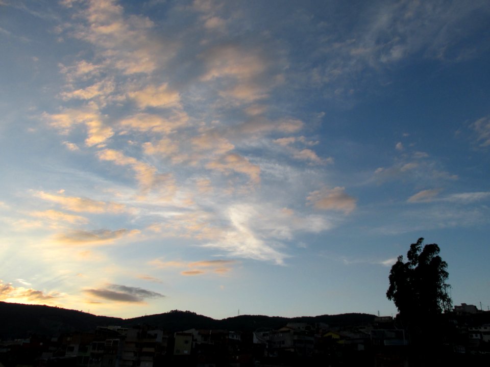 Imagem 024