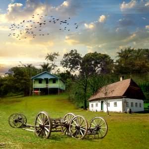 Little farm