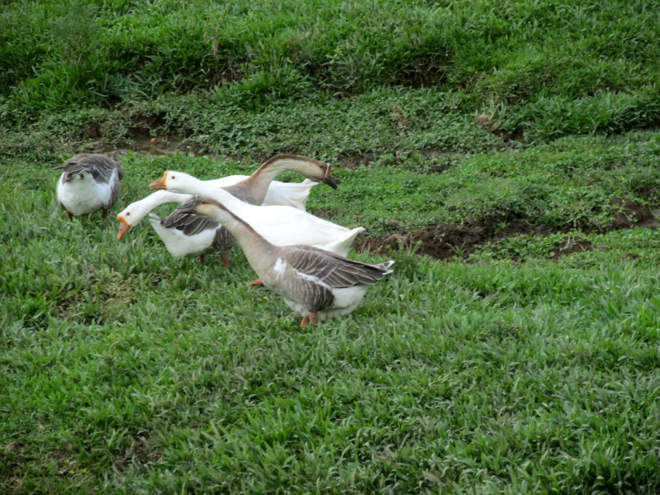 Imagem 022