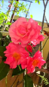 Imagem 067
