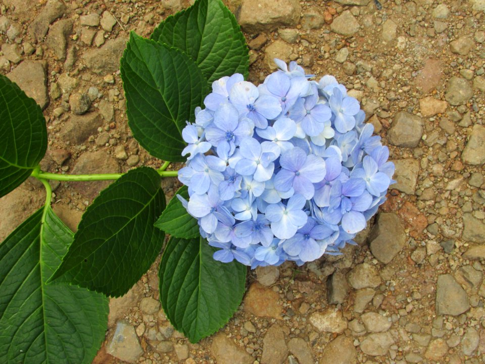 Imagem 027