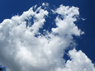 Imagem 028
