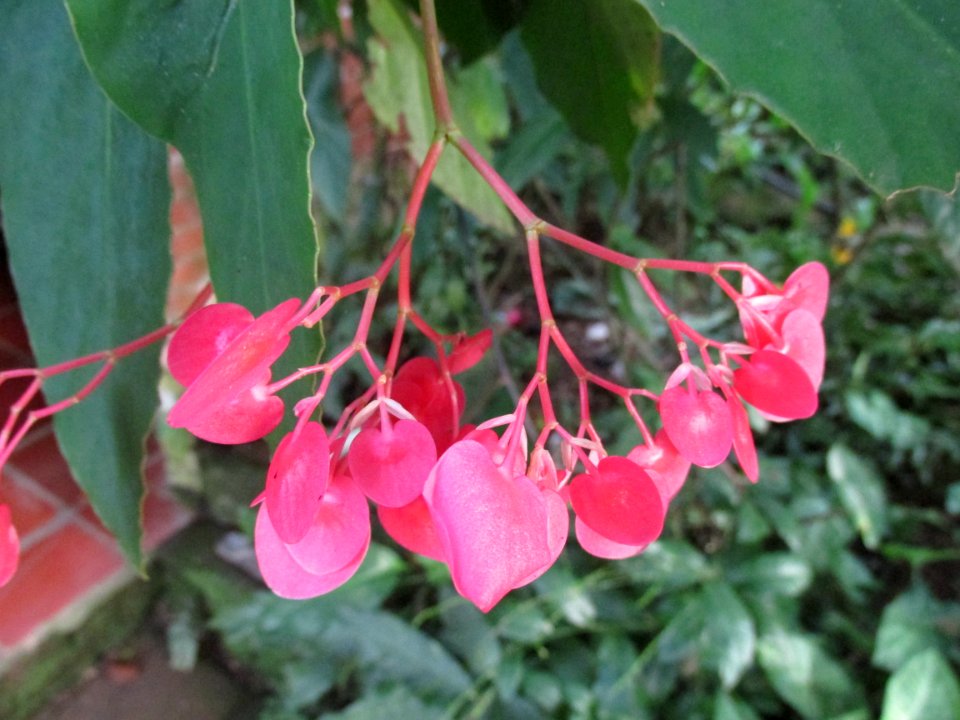 Imagem 040
