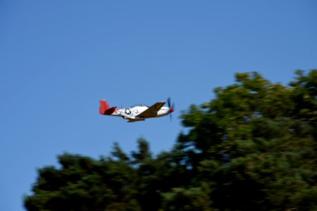 DSC 7516