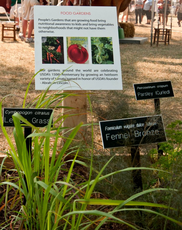 20120628-OC-LSC-0451
