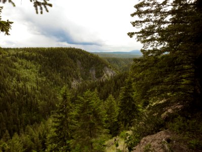 Pinnacles Provincial Park