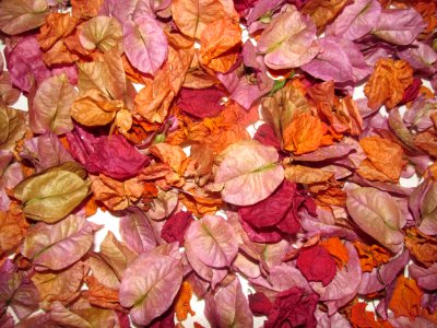Imagem 035