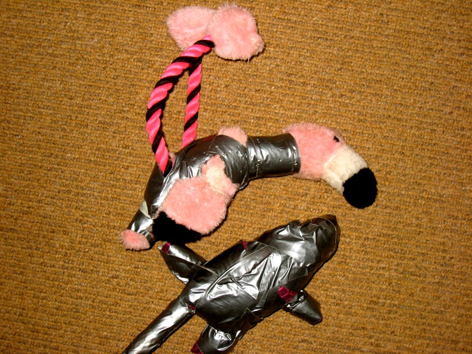 Island of Lost Dog Toys