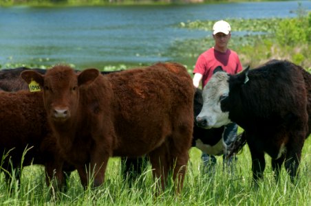 20110506-RD-LSC-0921