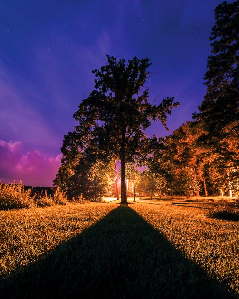 Nature color landscape