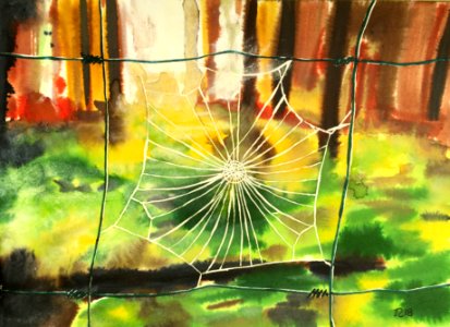 Aquarelle 18-55