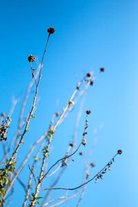 Blue sky sky min nan