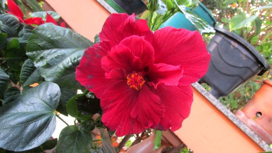 Imagem 073