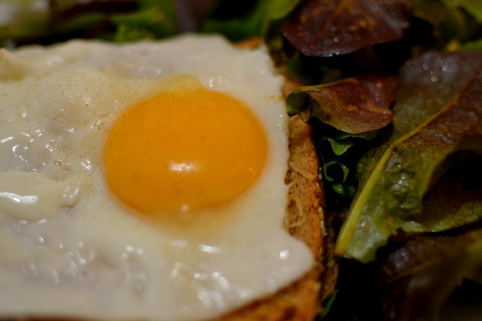 Oeuf