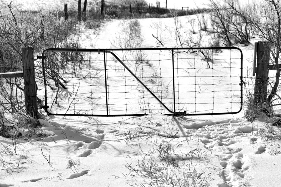 The Border is Closed
