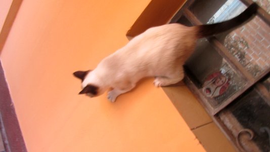 Imagem 041