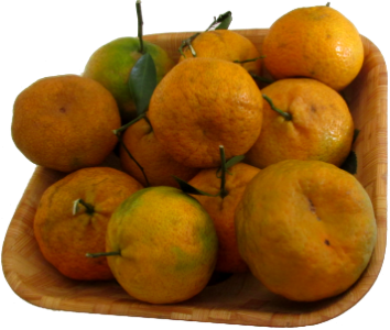 tangerine