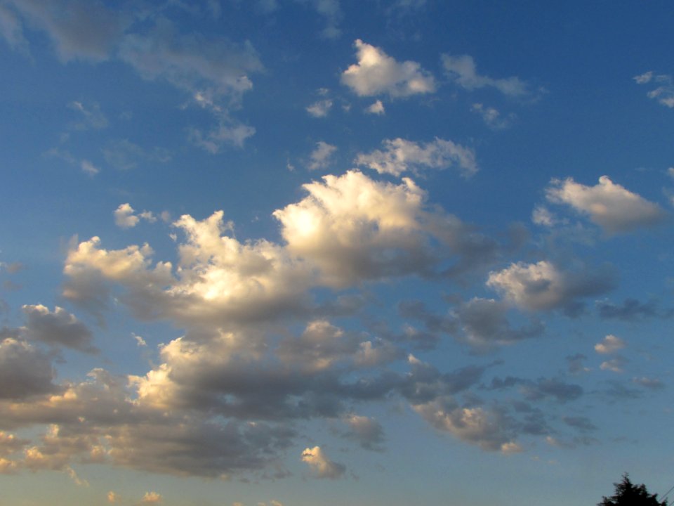 Imagem 004