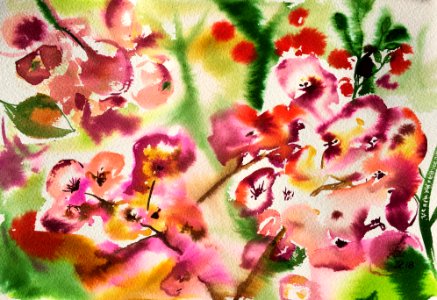 Aquarelle 18-53