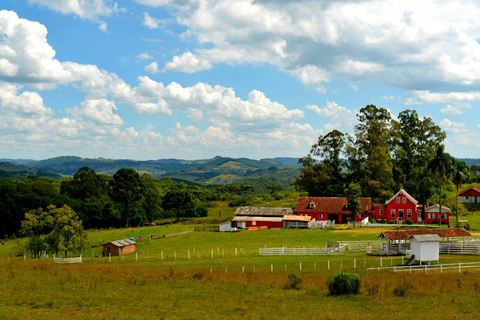 RenatoSoares CriúvaIrmãosBertussifazenda CaxiasdoSul RS
