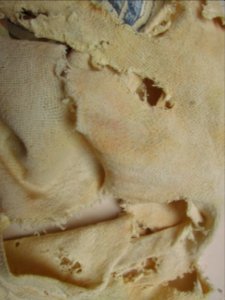 Imagem 011