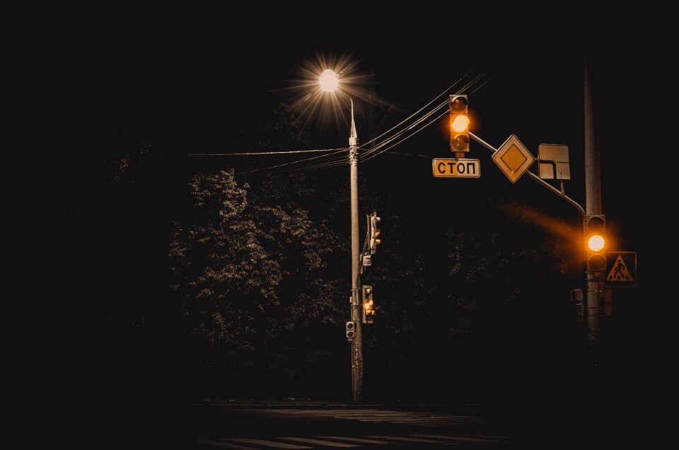 Street light tree road
