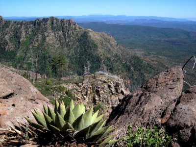 Off the Edge of the Mogollon Rim